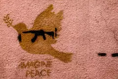 Graffiti einer Taube mit Waffe